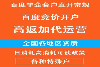 SEM服务在本地化营销中的应用案例